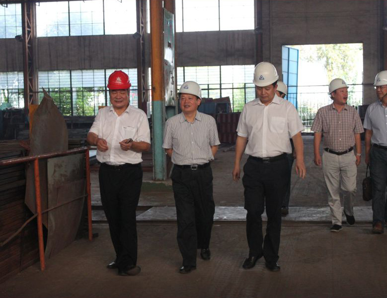 In September 2015, Xu Huanming, the deputy secretary and deputy director of the Zhejiang Provincial Economic and Information Commission, visited TENGY